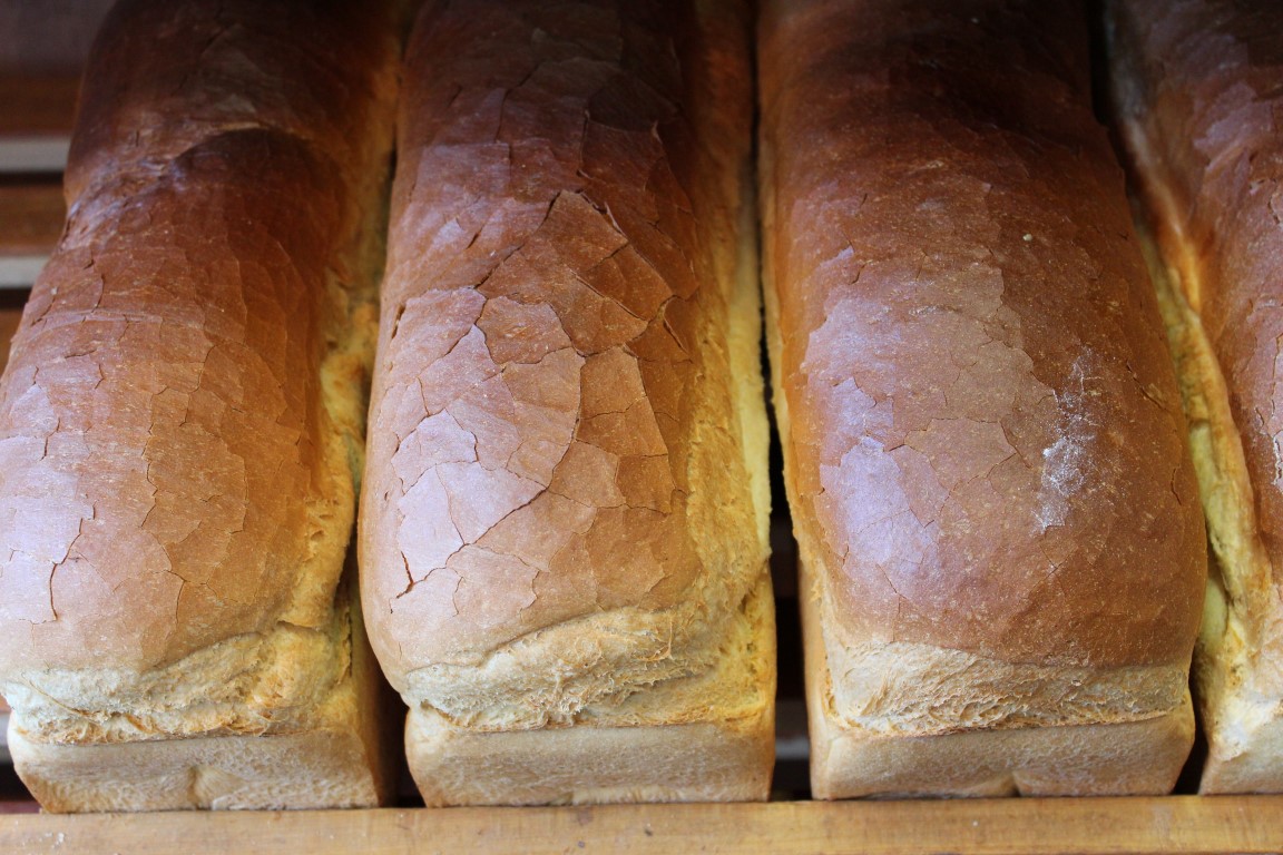 IMG_0311-Medium.jpg Melkwit - Afbeelding 1