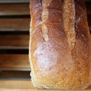 Spelt